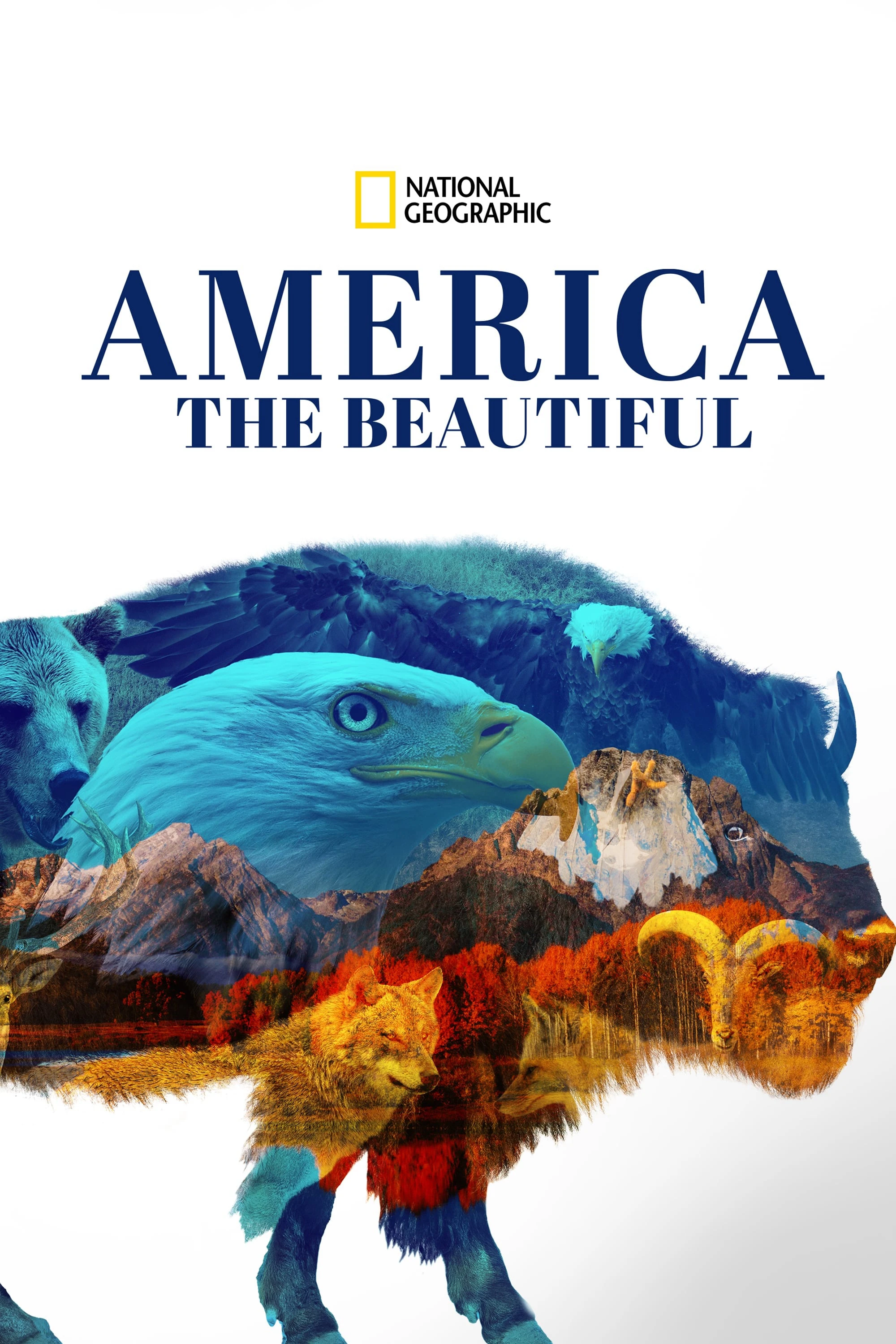 Phim America the Beautiful - America the Beautiful (2022)