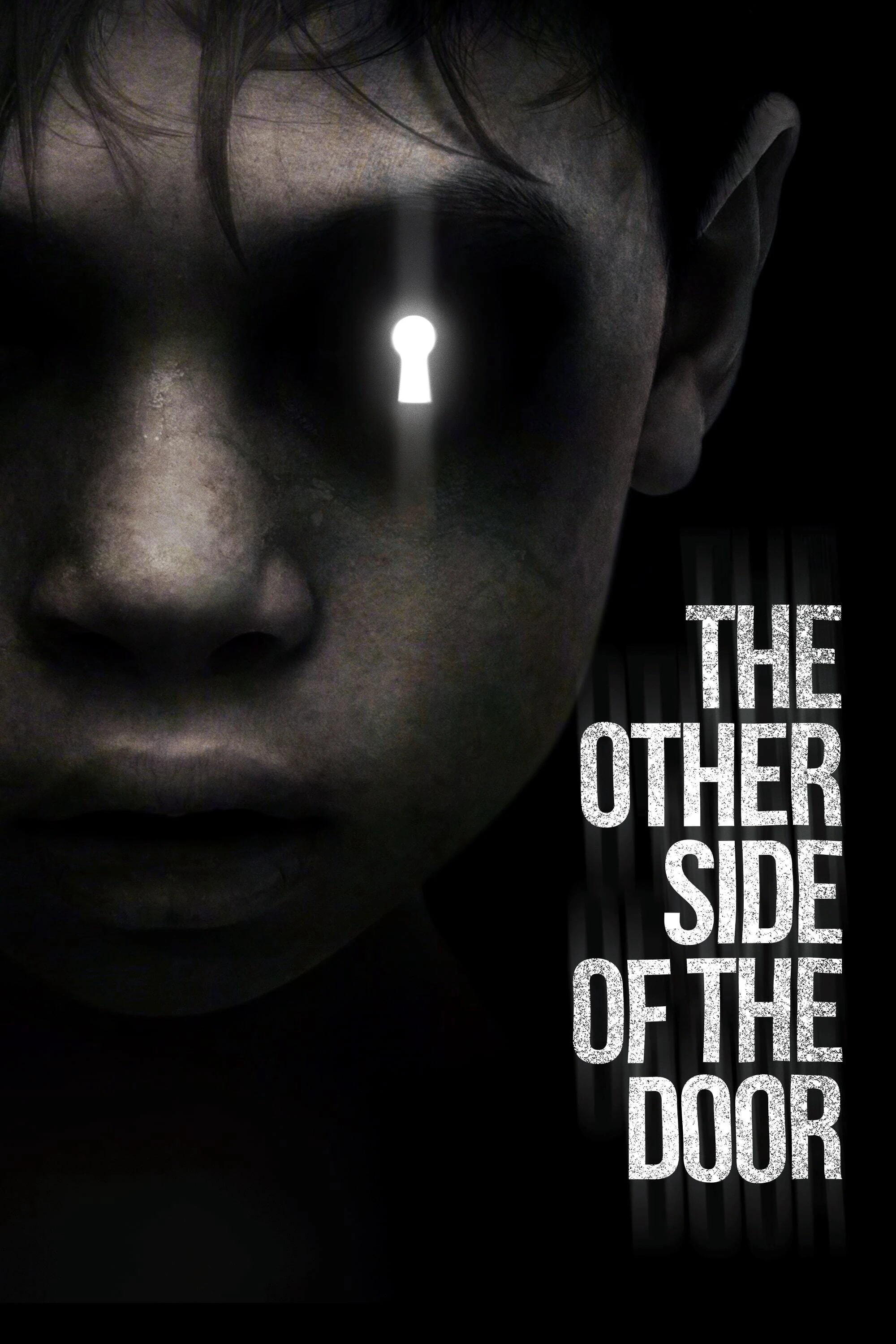 Phim Bên Kia Cánh Cửa - The Other Side of the Door (2016)