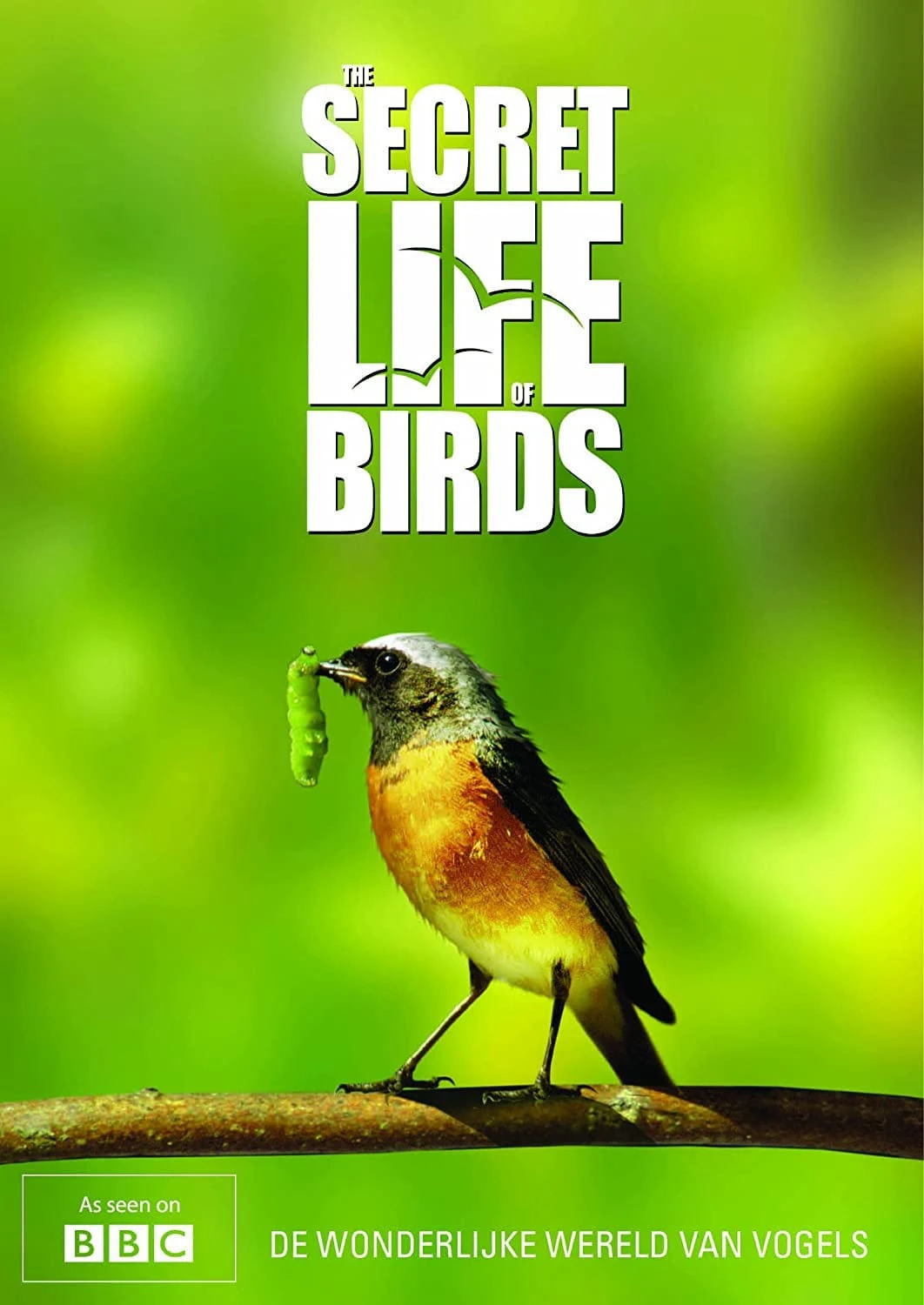 Phim Bí ẩn cuộc sống loài chim - The Secret Life of Birds  (2012)