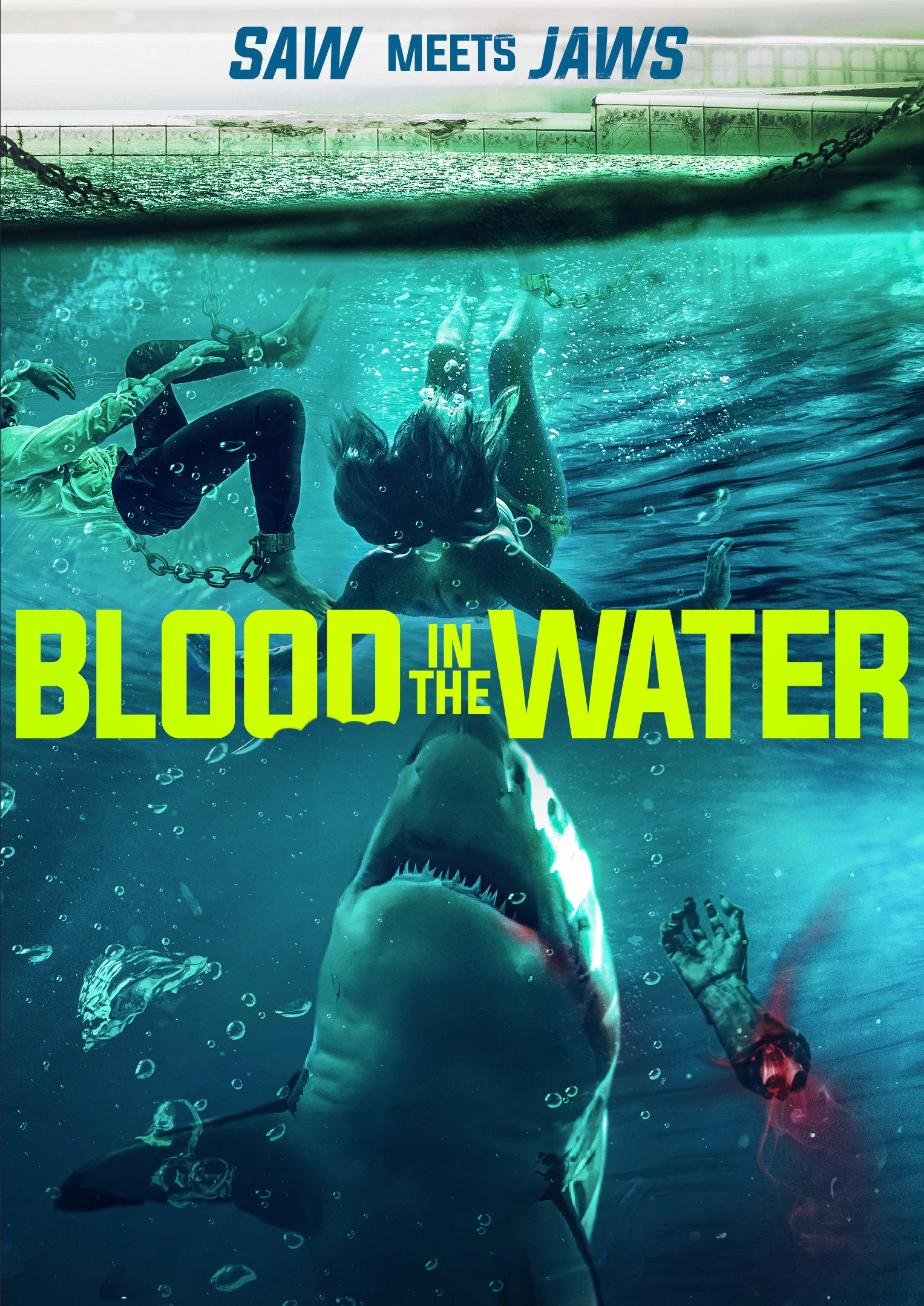 Phim Cá Mập Dưới Nước - Blood in the Water (2022)