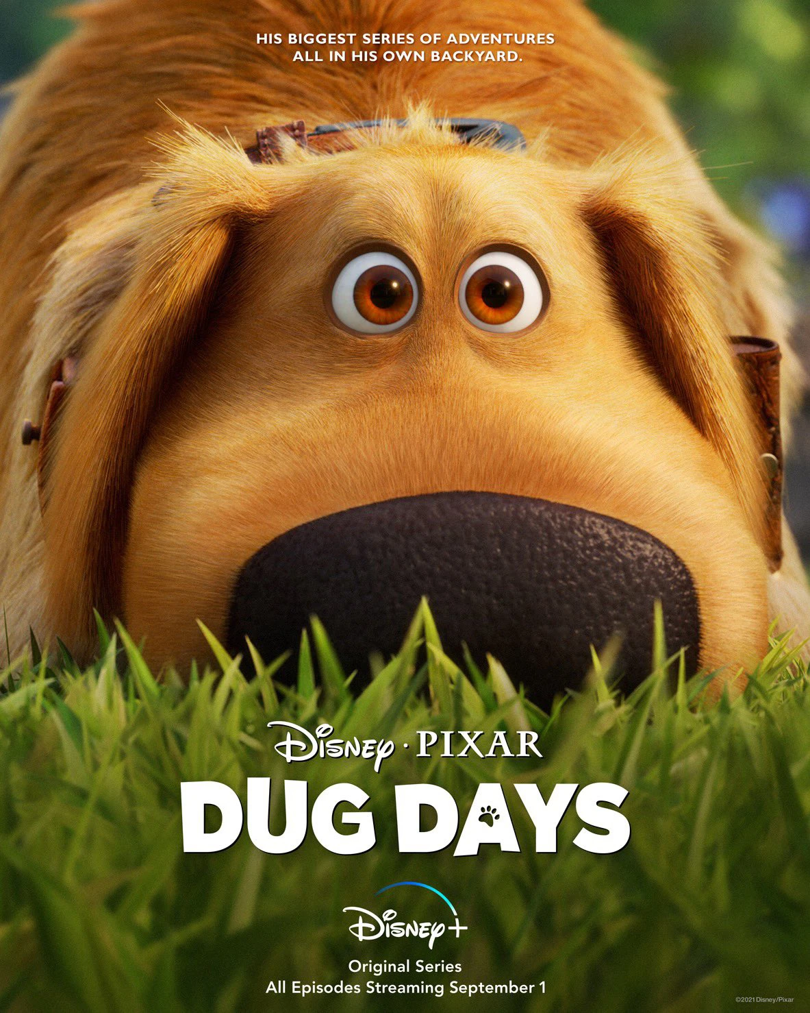 Phim Cuộc Phiêu Lưu Của Dug - Dug Days (2021)