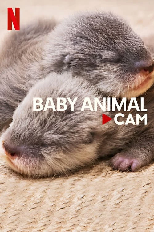 Phim Động vật bé cưng trên camera - Baby Animal Cam (2023)