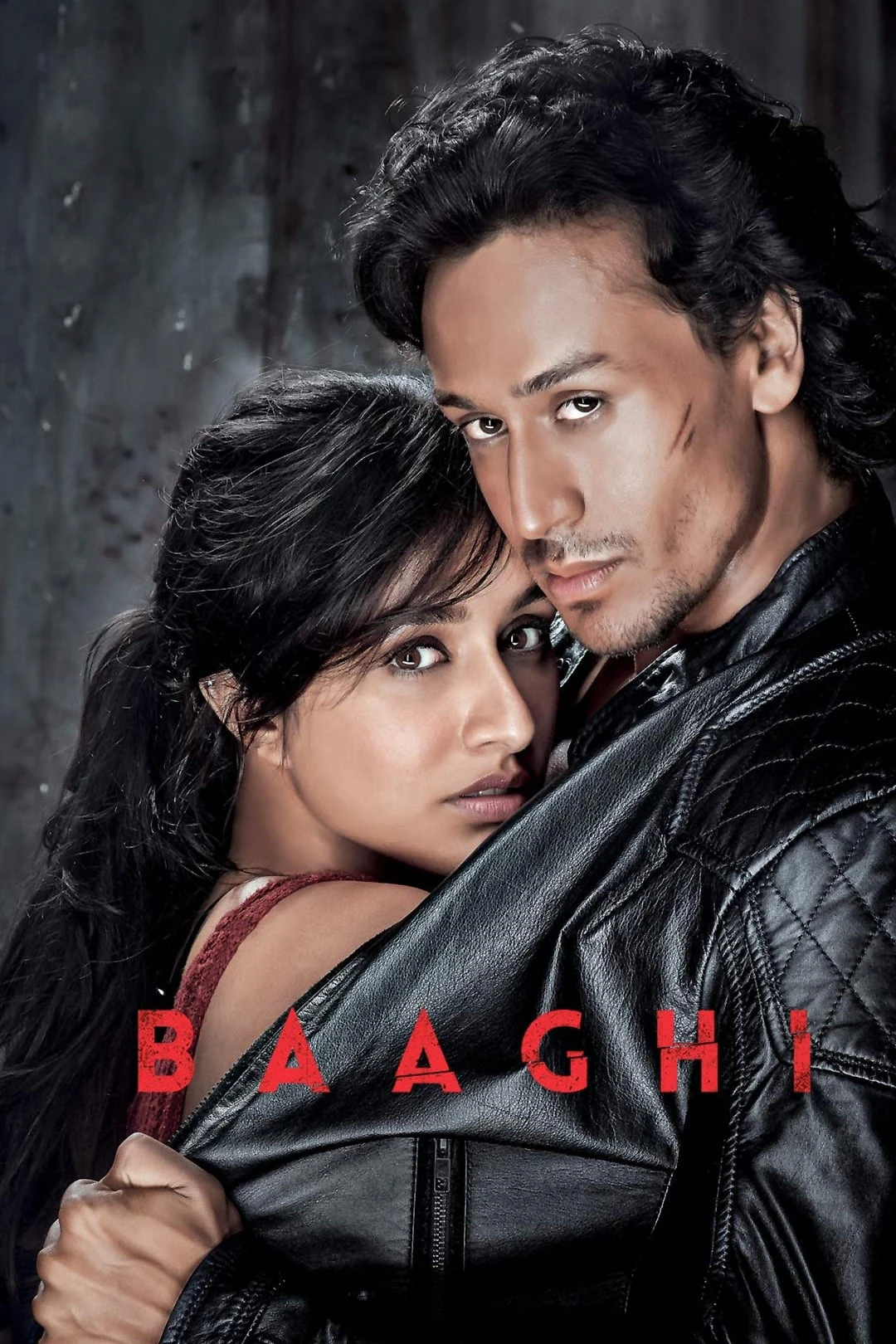 Phim Giải Cứu Người Đẹp - Baaghi (2016)