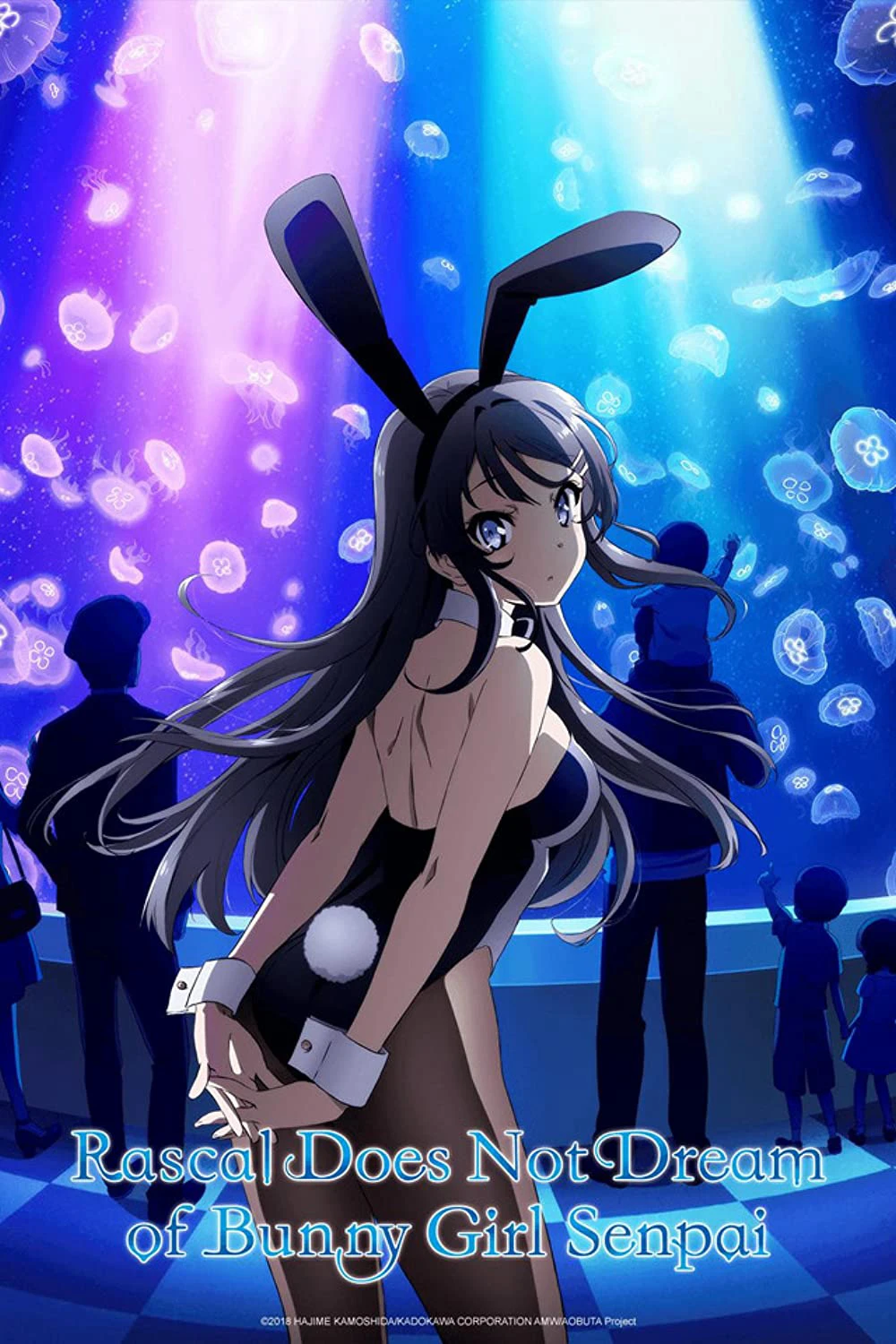 Phim Hội chứng tuổi teen và cô gái có đôi tai thỏ - Rascal Does Not Dream of Bunny Girl Senpai (2018)