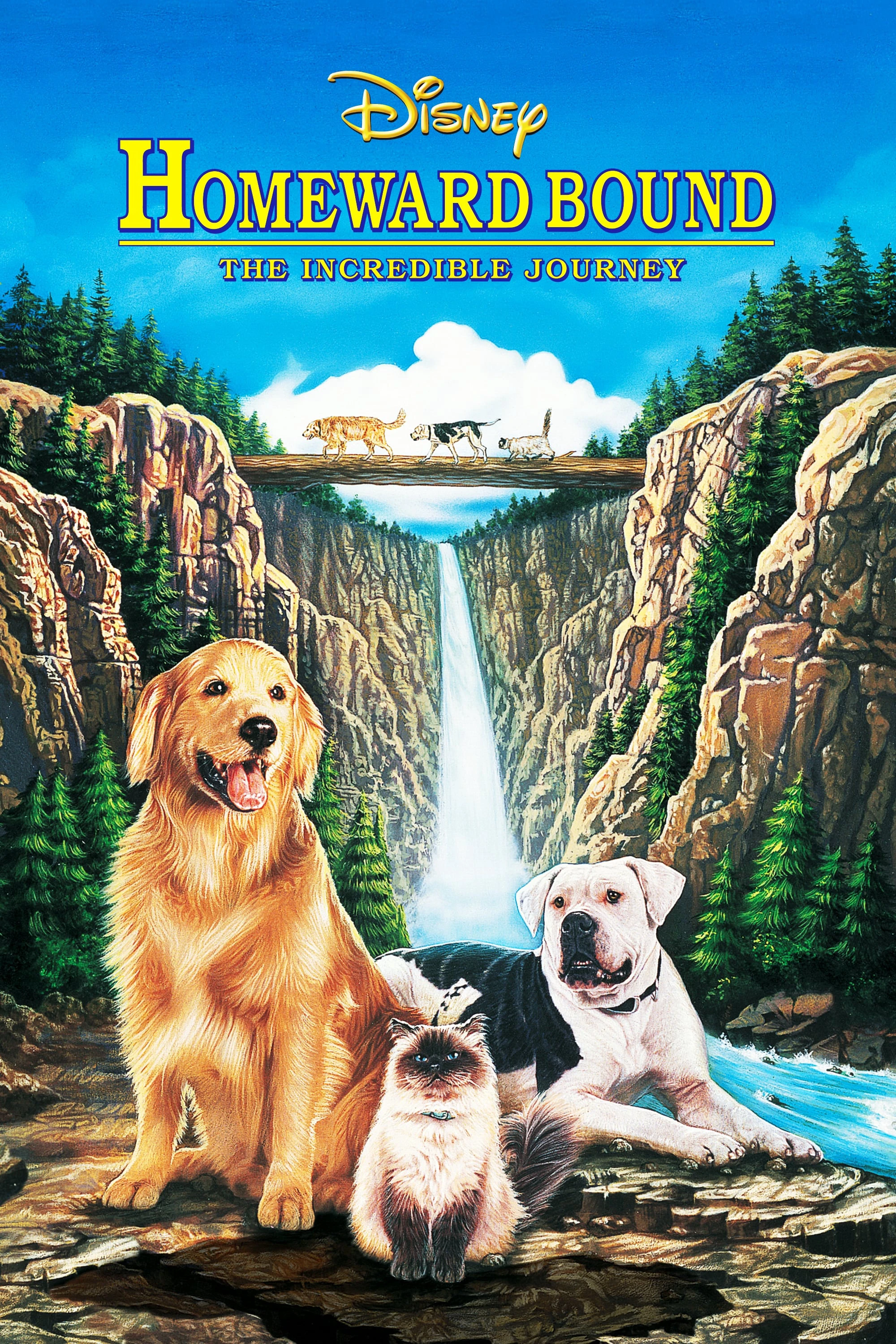 Phim Homeward Bound: The Incredible Journey - Homeward Bound: The Incredible Journey (1993)