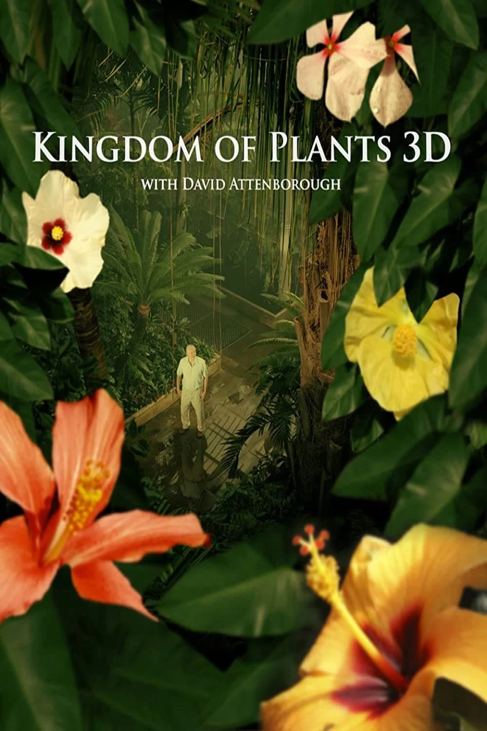 Phim Kingdom of Plants - Kingdom of Plants (2012)