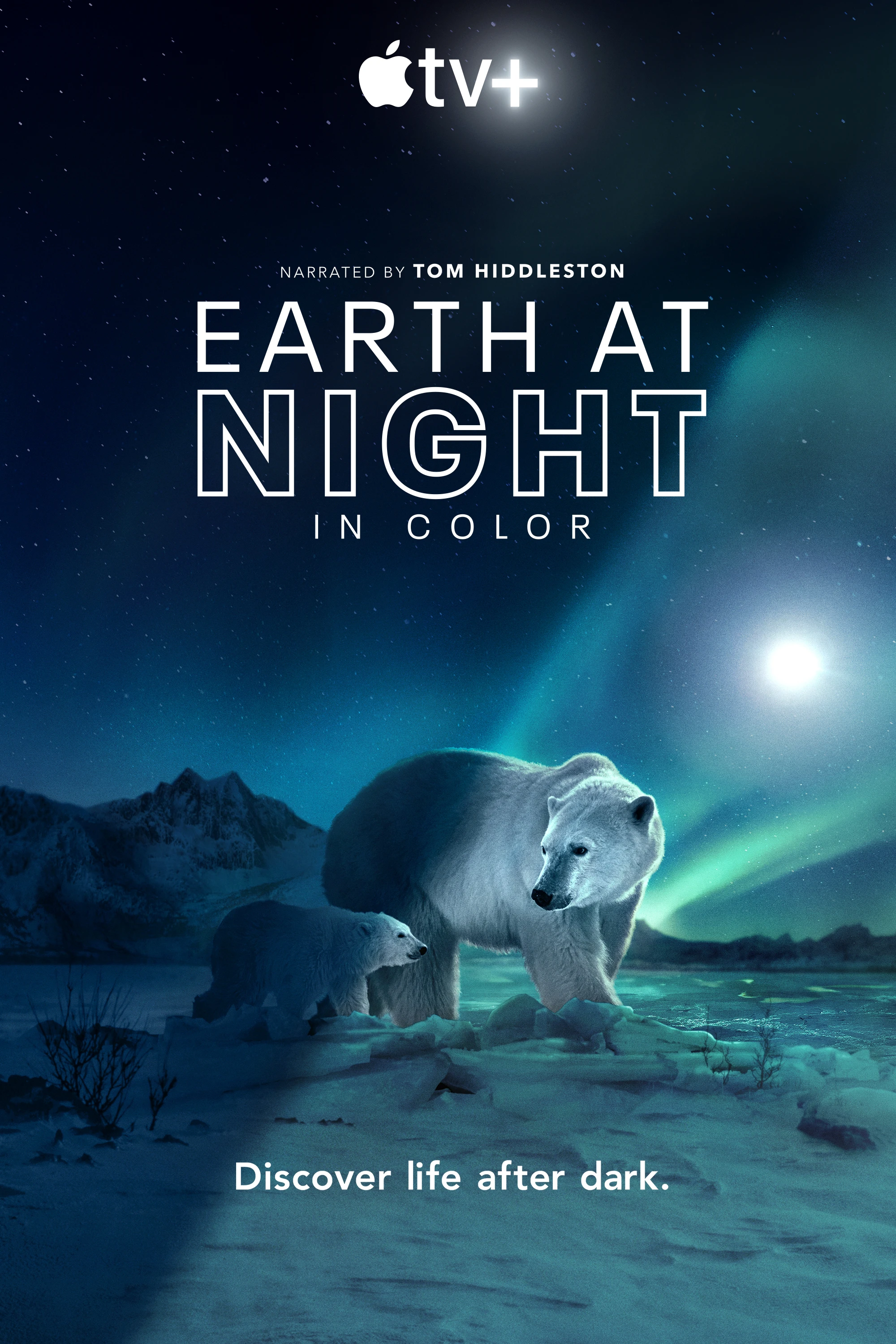 Phim Màn đêm trên Trái Đất - Night on Earth (2020)