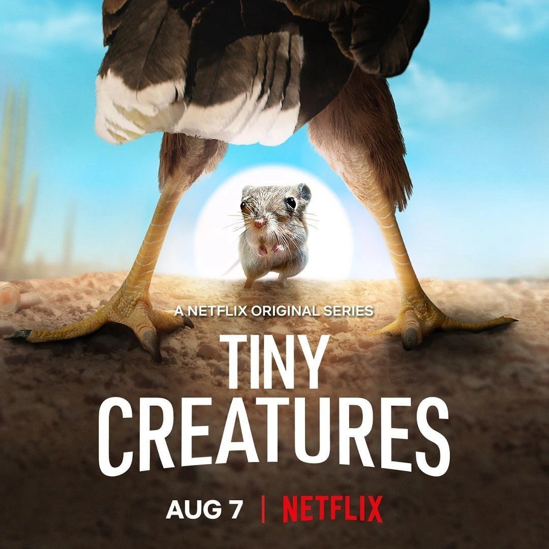 Phim Những sinh vật tí hon - Tiny Creatures (2020)