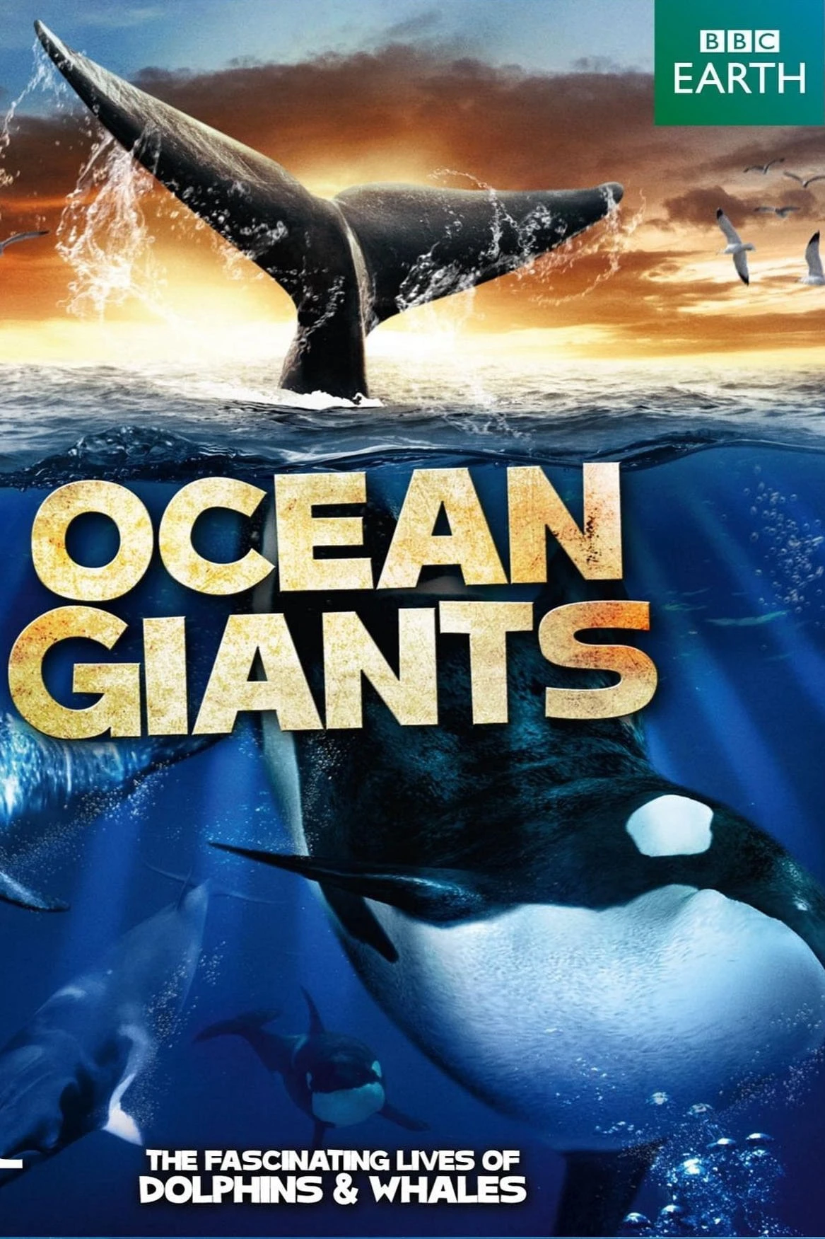 Phim Ocean Giants - Ocean Giants (2011)