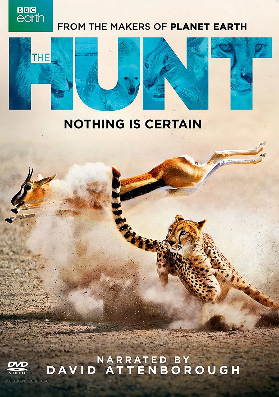 Phim Săn Mồi - BBC: The Hunt (2015)