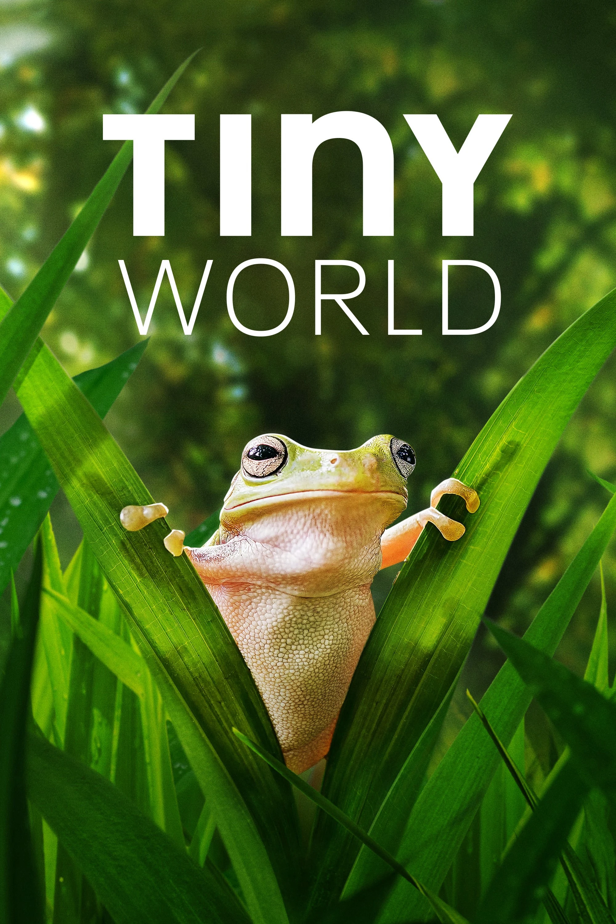 Phim Thế Giới Siêu Nhỏ (Phần 2) - Tiny World (Season 2) (2021)