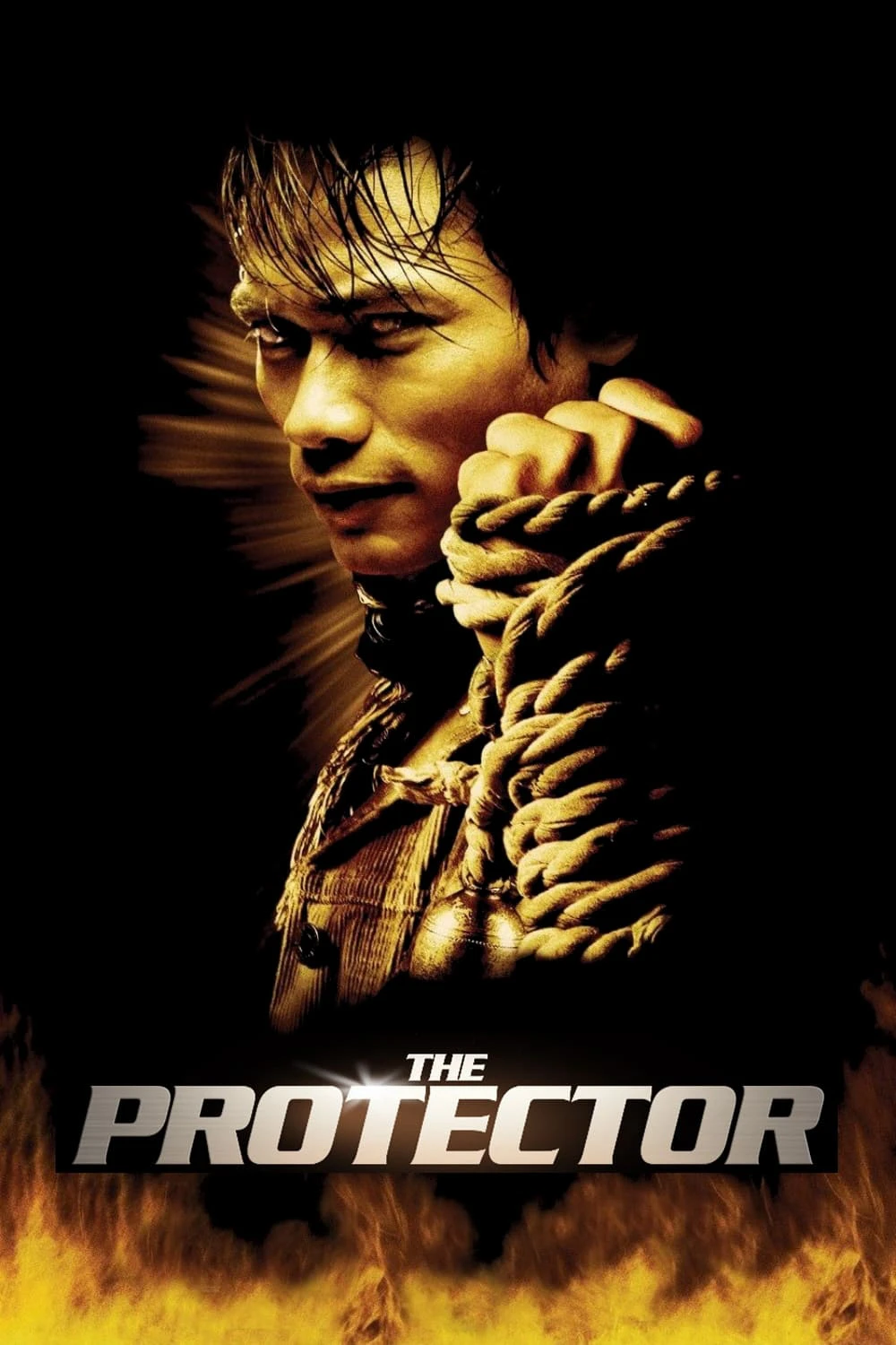 Phim The Protector - The Protector (2005)